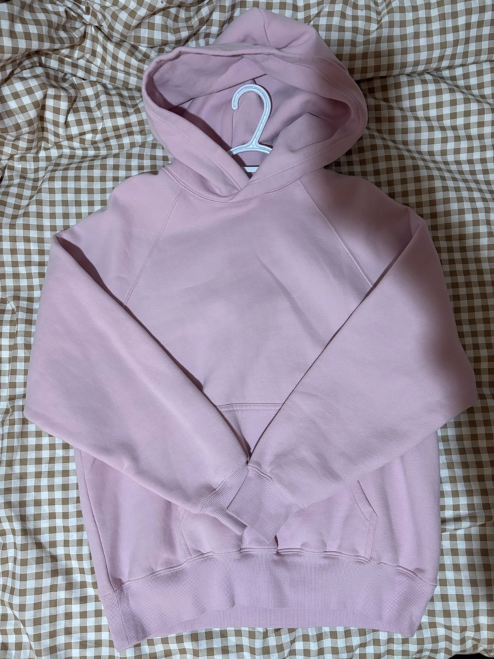 Aritzia Mega Raglan Hoodie